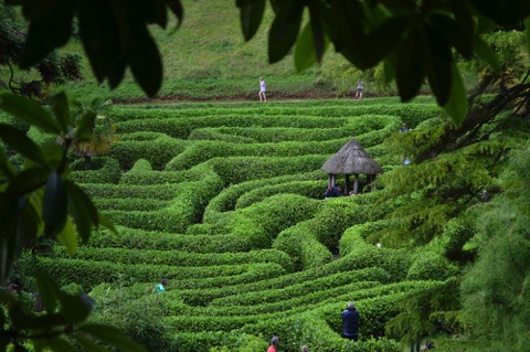 Glendurgan Garden maze